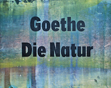 Buchobjekt: Johann Wolfgang Goethe – Die Natur